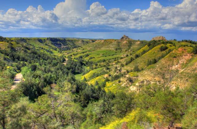 Theodore Roosevelt National Park